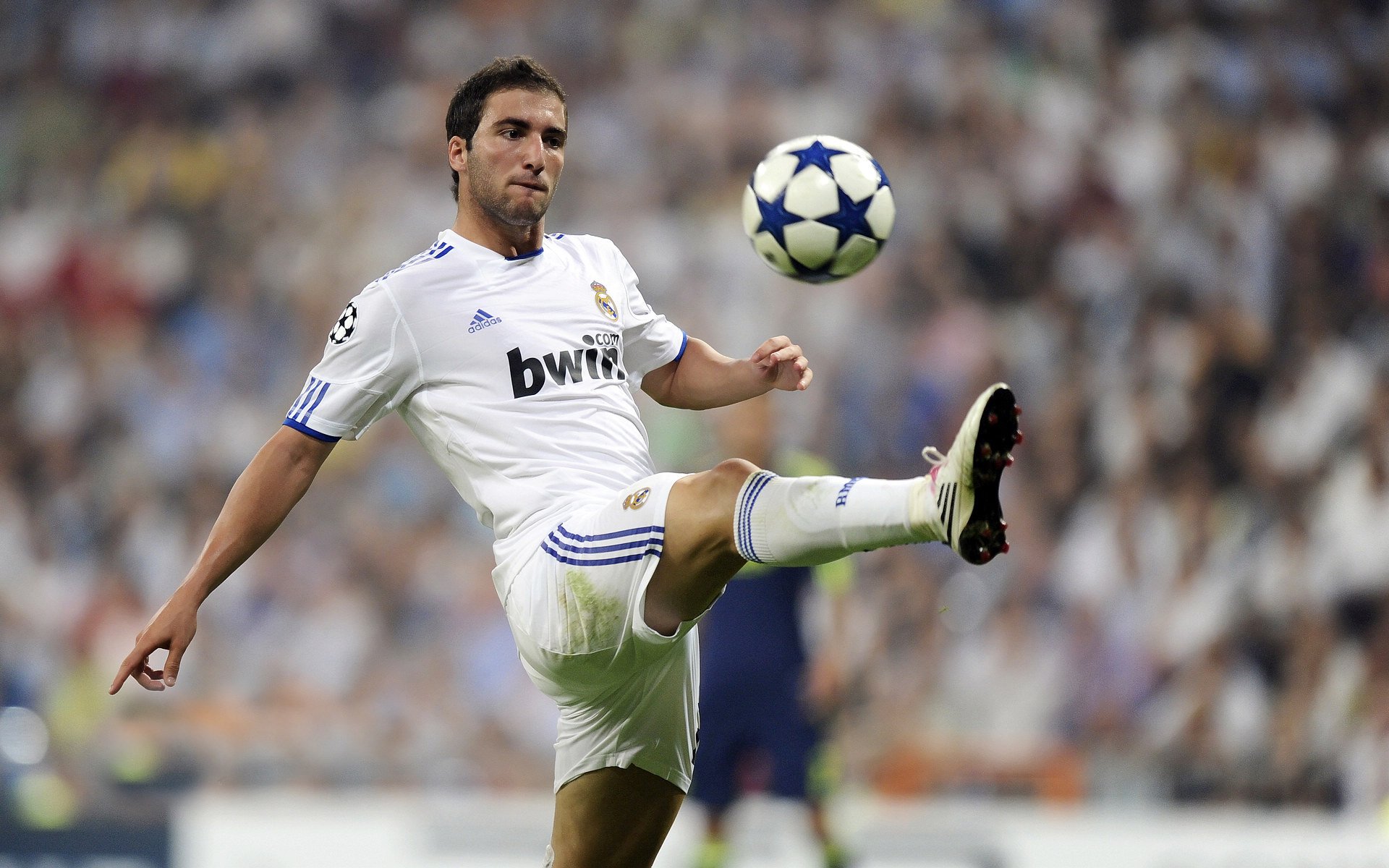 德里赫特一锤定音，喀麦隆黑马斩落勒沃库森书写非洲新篇