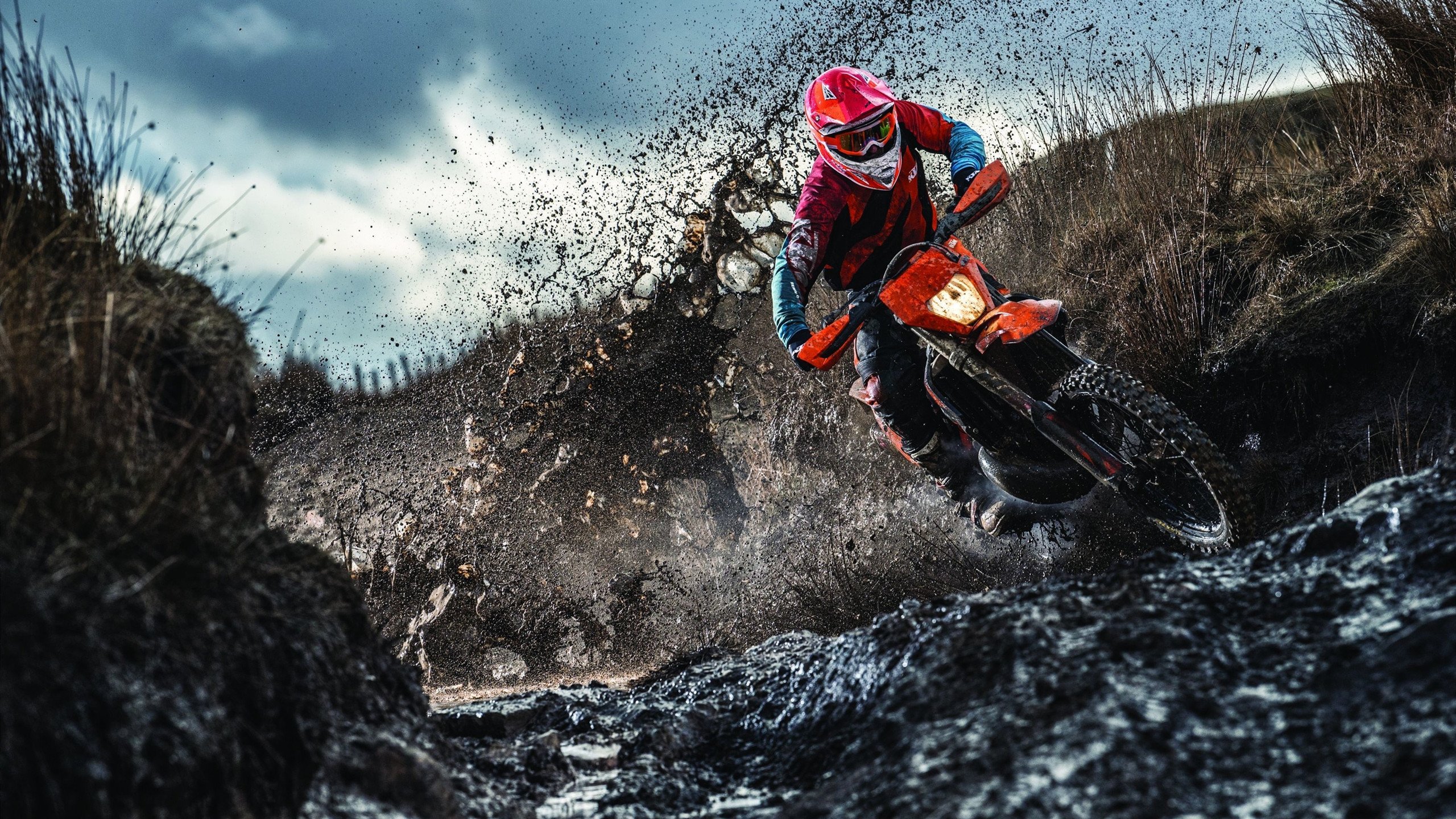 开云平台-从草地到硬地，兹维列夫扛旗，戴维斯杯力克温网的团队启示